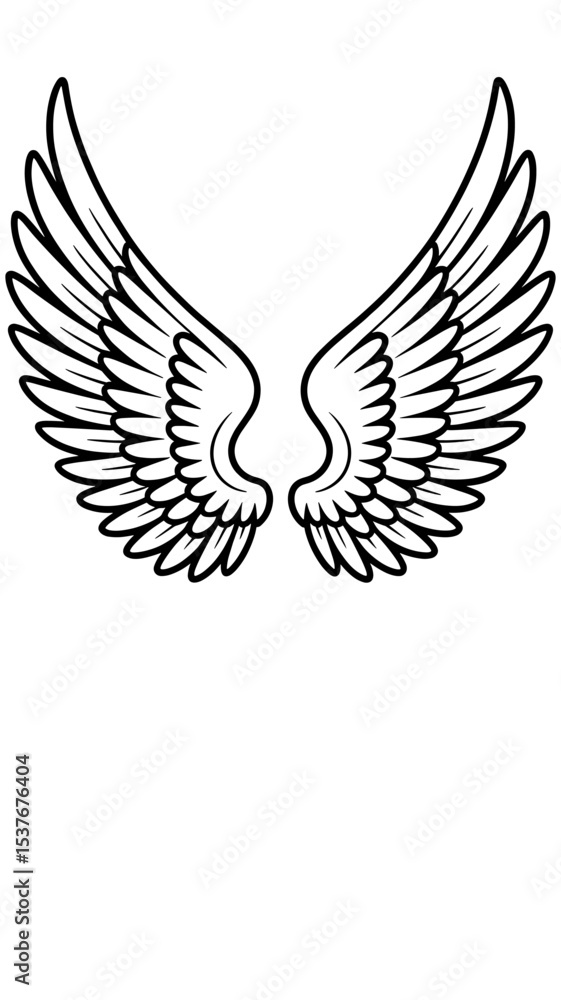 Obraz premium Detailed illustration of angel wings showcasing intricate feather designs in a minimalist style 