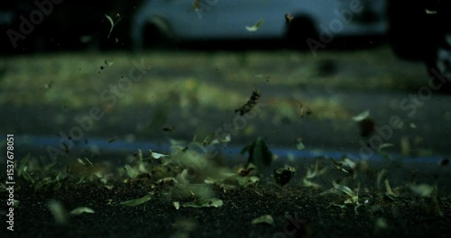 Dry leaves lift violently from the asphalt as a gust of wind sweeps through an empty street with cars parked in the background before rainfall