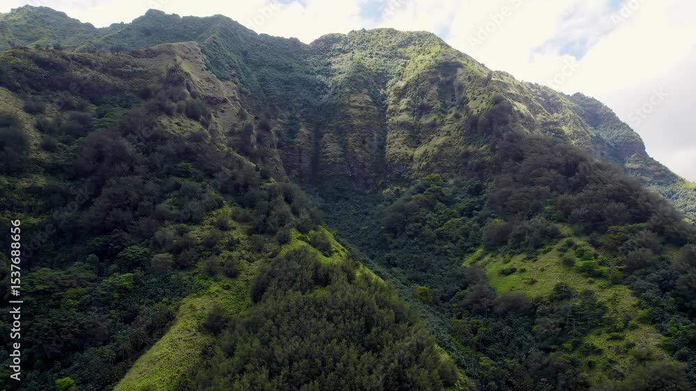 Lush Mountainside Lush Mountainside