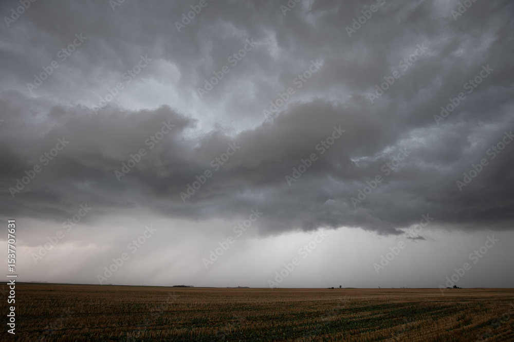 Severe Storm Severe Storm