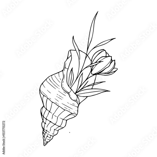 floral conch shell design