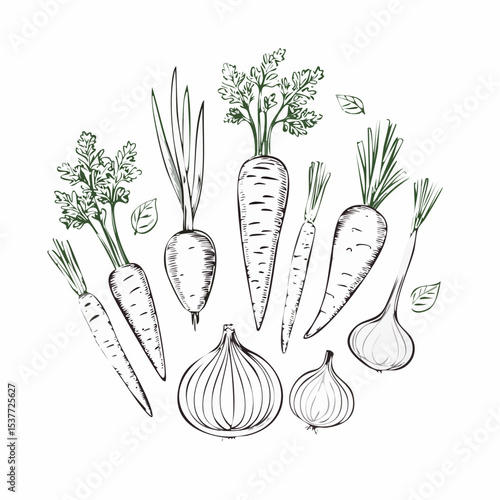 Artistic black and white illustration of fresh vegetables, carrots and onions design.