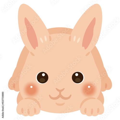 うつ伏せになったウサギのイラスト