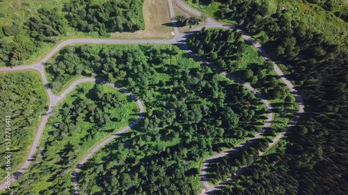 Aerial View of Nature Landscape with Paved Pathway Connecting Areas. Winding Road Through Dense Woodland. 