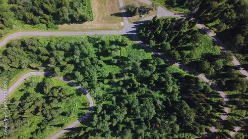 Aerial View of Winding Road Through Dense Green Forest. Summer Landscape.