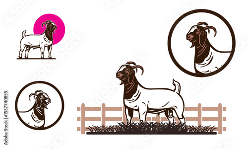GREAT BOER GOAT LOGO, an icon of boer ram  standing at farm for company, vector illustrations
