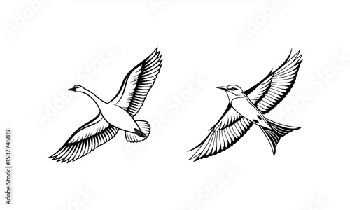 Soaring Birds: Artistic depiction of a swan and bird in graceful flight, showcasing elegant lines and motion in a detailed monochrome style.