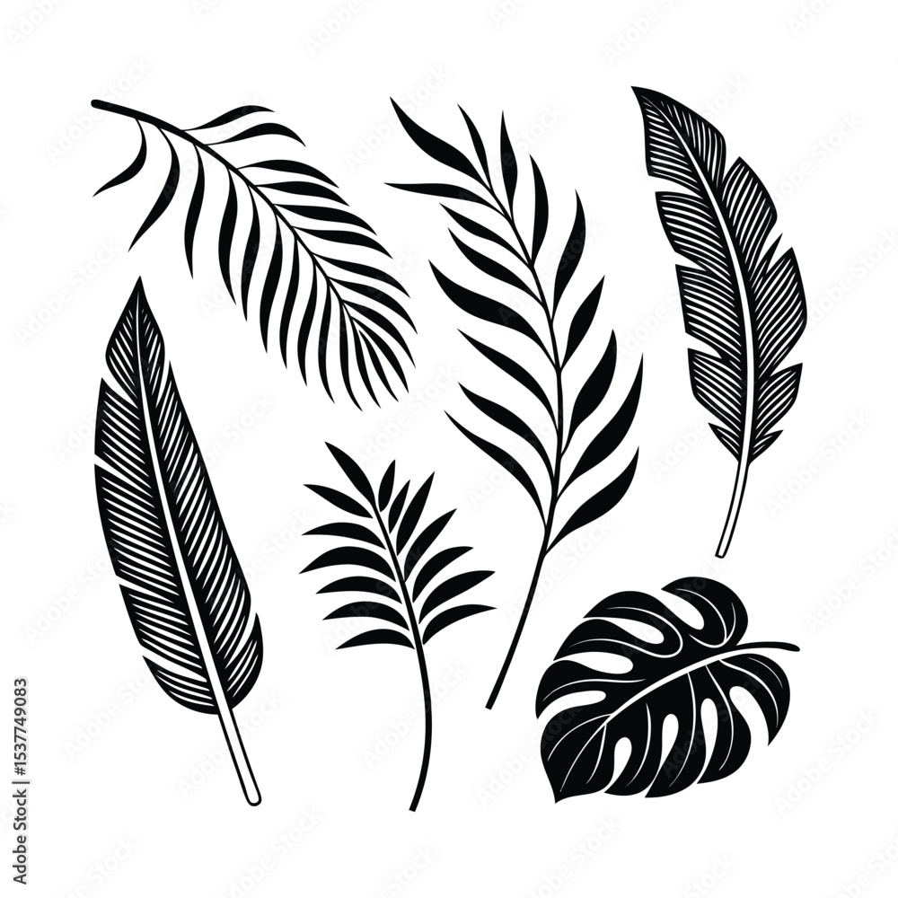 Obraz premium Tropical Leaves Silhouette Collection 