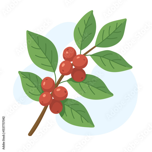 A detailed illustration depicts a coffee branch showcasing ripe red berries and vibrant green leaves, highlighting the beauty of coffee cultivation.