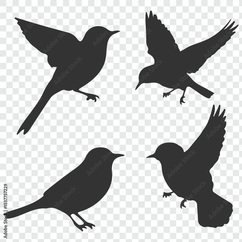 Fototapeta premium set of birds silhouettes on transparent background. eps 10