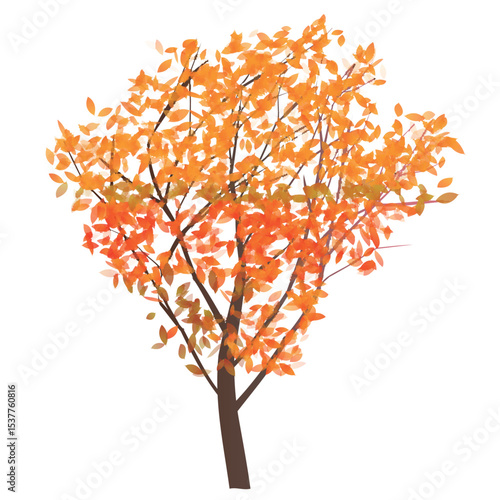 紅葉　もみじ　秋　アイコン	