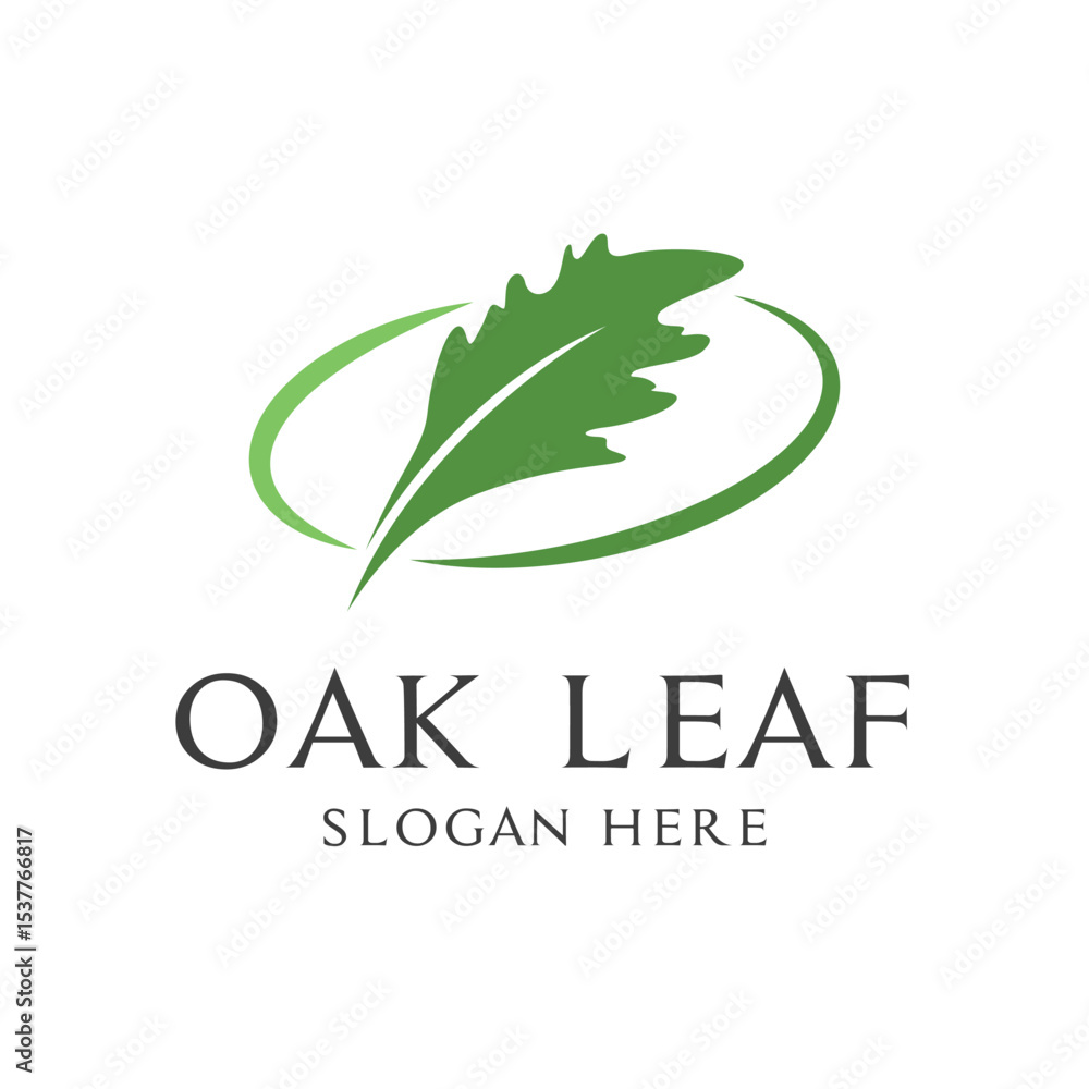 Fototapeta premium oak leaf tree logo design concept simple
