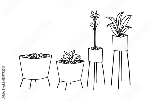 Simple line drawing illustration of various houseplants in stylish modern planters