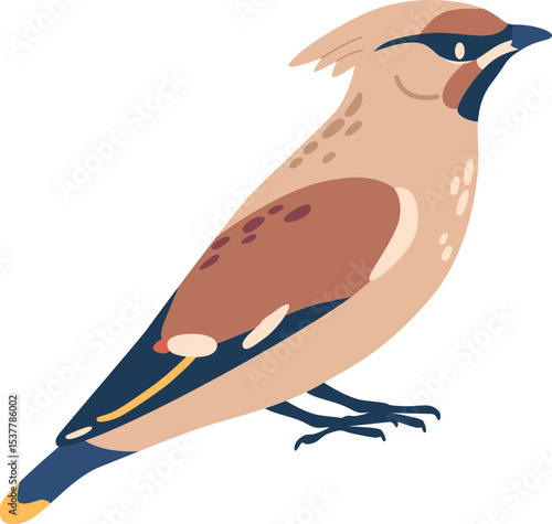 Crested waxwing autumn bird vector illustration
