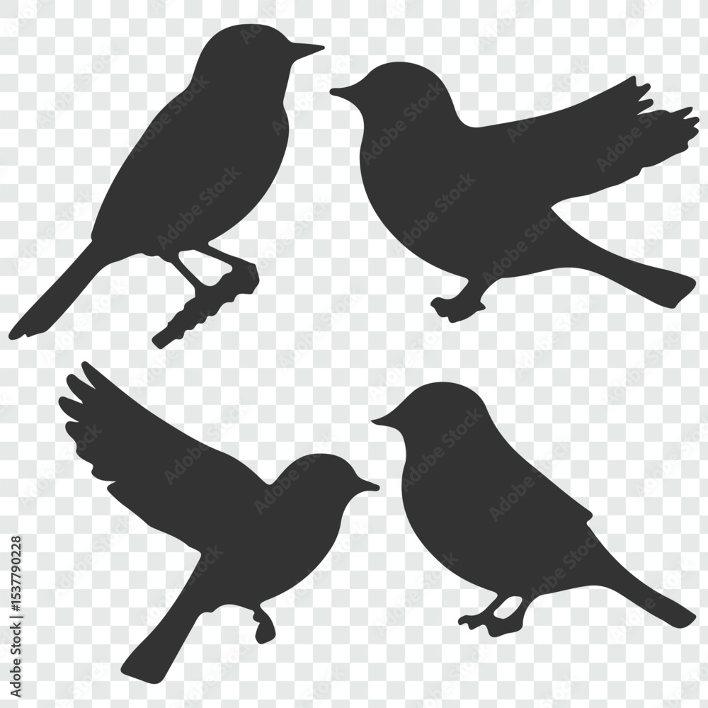 Fototapeta premium set of bird silhouette vector illustration. eps 10.