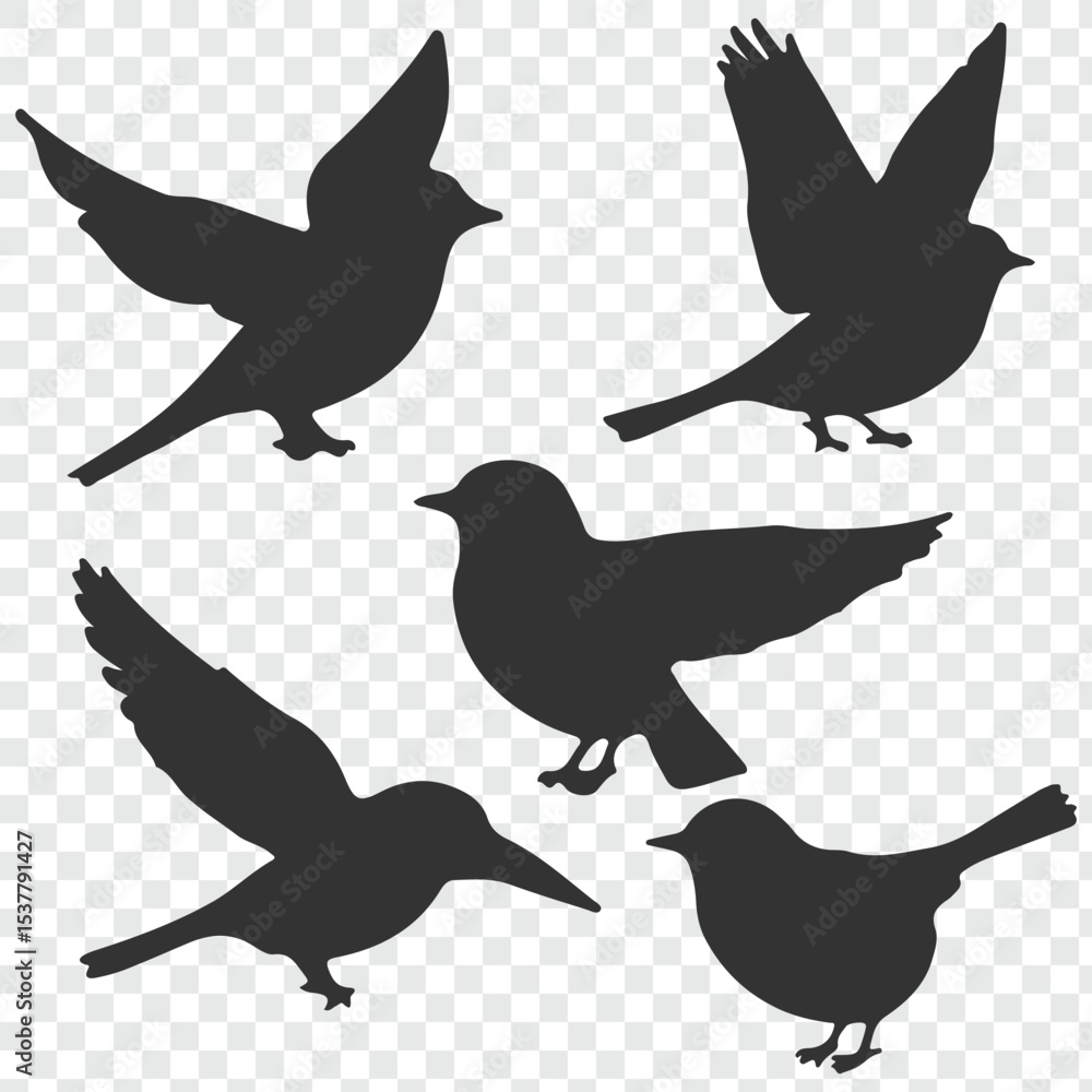 Fototapeta premium bird silhouette vector illustration. Vector elements for design. Birds icon set.