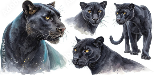 Watercolor Black Panthers