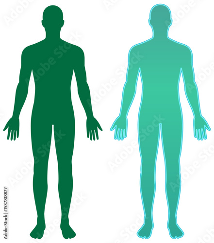 Dual Human Silhouettes in Gradient Vector Style