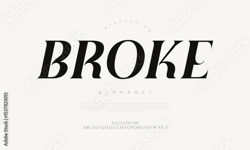 Bold and refined serif font with italic flair, perfect for luxury branding, magazines, and packaging