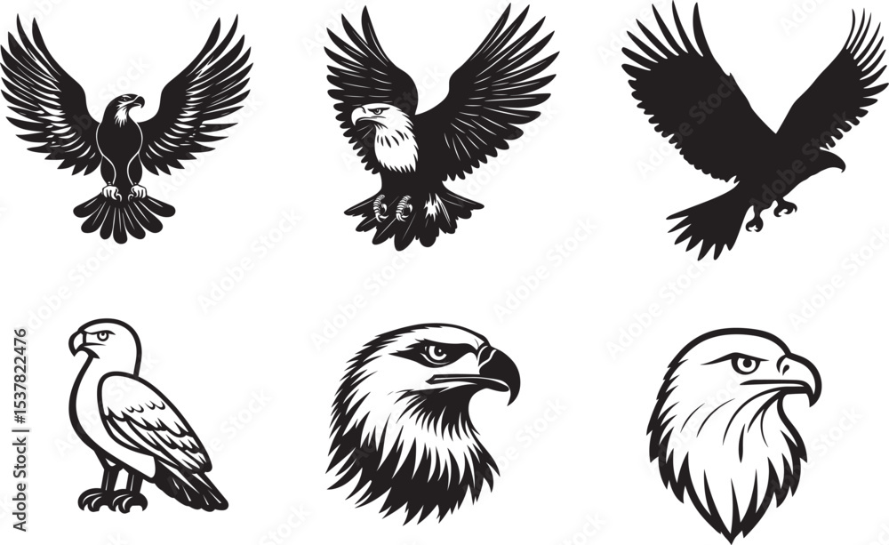 Obraz premium A black and white illustration of a bald eagle in flight with its wings spread wide.