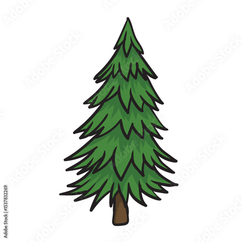 pine tree vector with white background separate