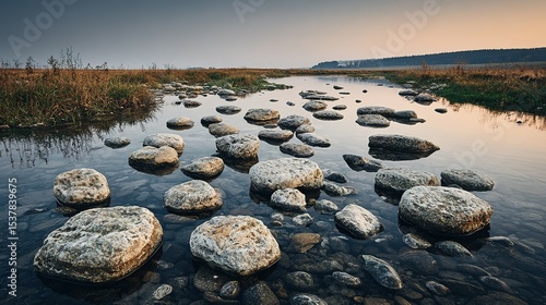 Smooth stones in a shallow stream.
