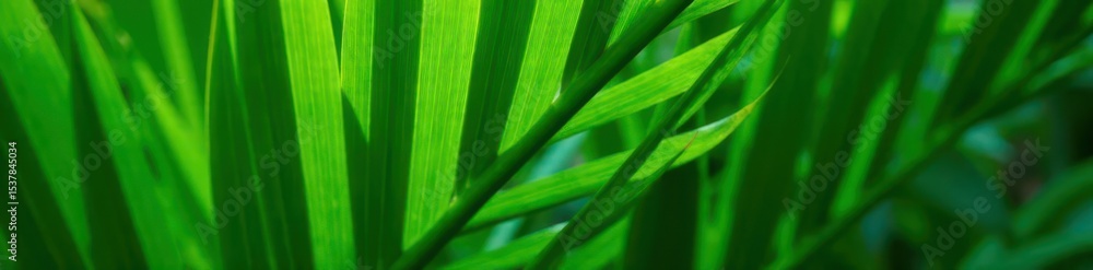 Vibrant green palm fronds, close-up Lush tropical foliage texture , green leaves, lush Vibrant green palm fronds, close-up Lush tropical foliage texture , green leaves, lush