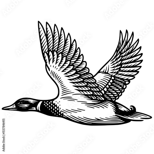A black line art illustration of a duck in flight, rendered in a distinctive linocut or woodcut style.