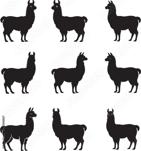 A Collection of Minimalist Llama Silhouettes