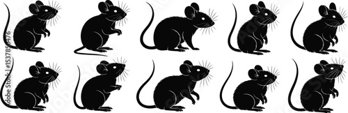 A set of black rat and mouse vector icons, simple rodent silhouettes isolated on a white background, perfect for pest control, lab, and animal symbols.
