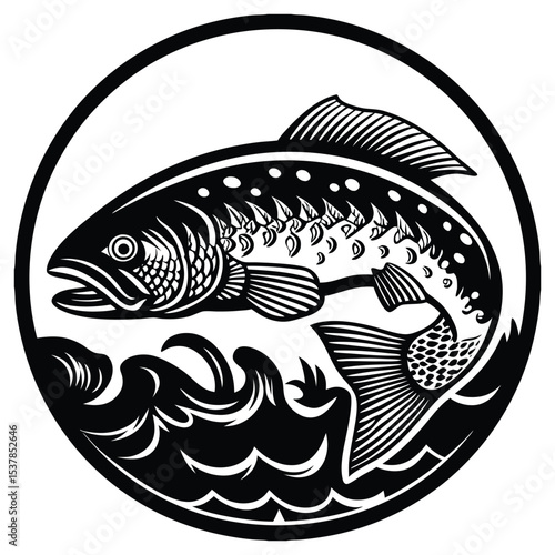 Skipjack shad alosa chrysochloris, fish from North America