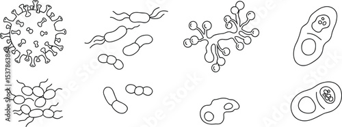  Microscopic line art of various bacteria, viruses, fungi, and protozoa for educational, medical, scientific, biological, and healthcare illustrations

flat vector illustration