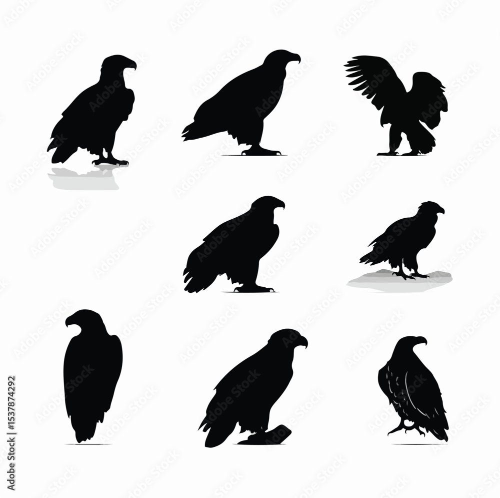 Obraz premium bald eagle silhouette set, Black & White silhouette set 