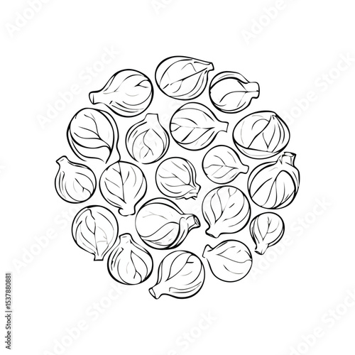 Brussels Sprouts line drawing featuring smooth sketch-style strokes in a refined black and white vector design.