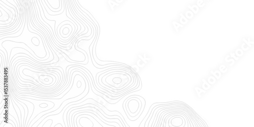 Topographic seamless map pattern with contour lines. Abstract geographic elevation design, lines sea map modern white background. 
