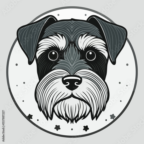 Miniature Schnauzer line drawing featuring smooth sketch-style strokes in a refined black and white vector design.