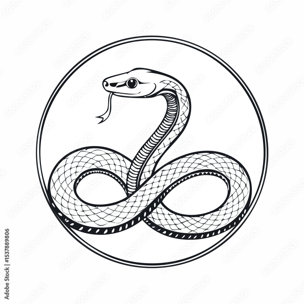 Fototapeta premium Milk Snake line drawing featuring smooth sketch-style strokes in a refined black and white vector design.