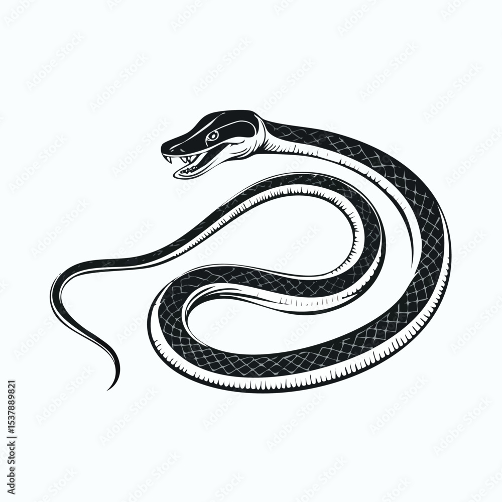 Obraz premium Black Mamba line drawing featuring smooth sketch-style strokes in a refined black and white vector design.