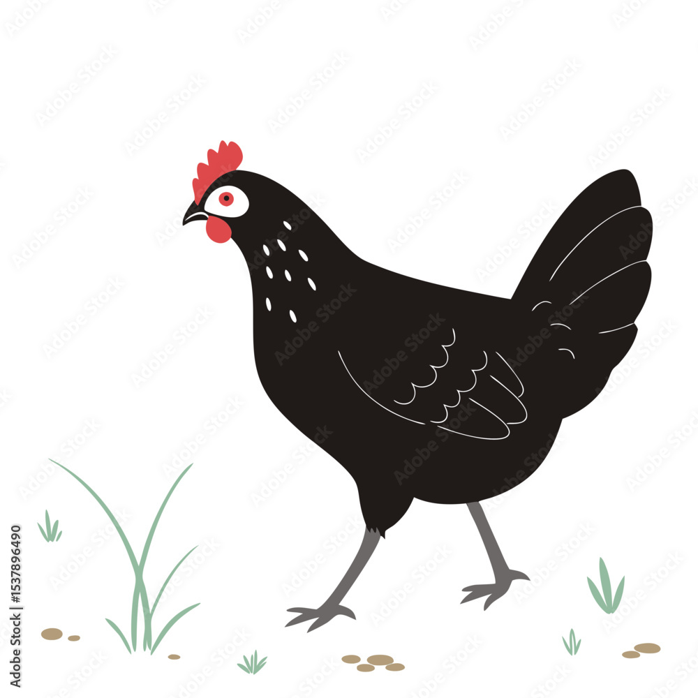 Fototapeta premium hen and chicken