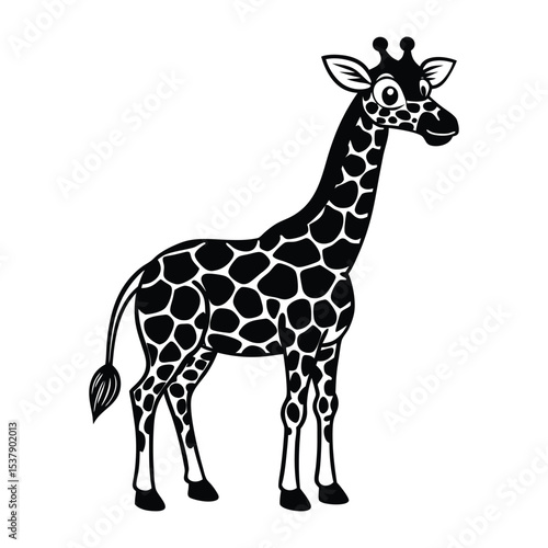 giraffe isolated on white background