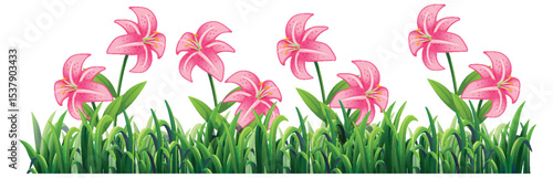 Vibrant Pink Lilies in Lush Greenery