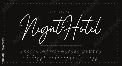 signature Font Calligraphy Logotype Script Brush Font Type Font lettering handwritten 
