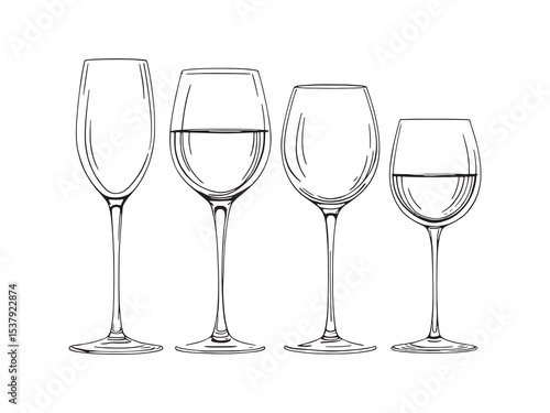 glass of wine vector illustration