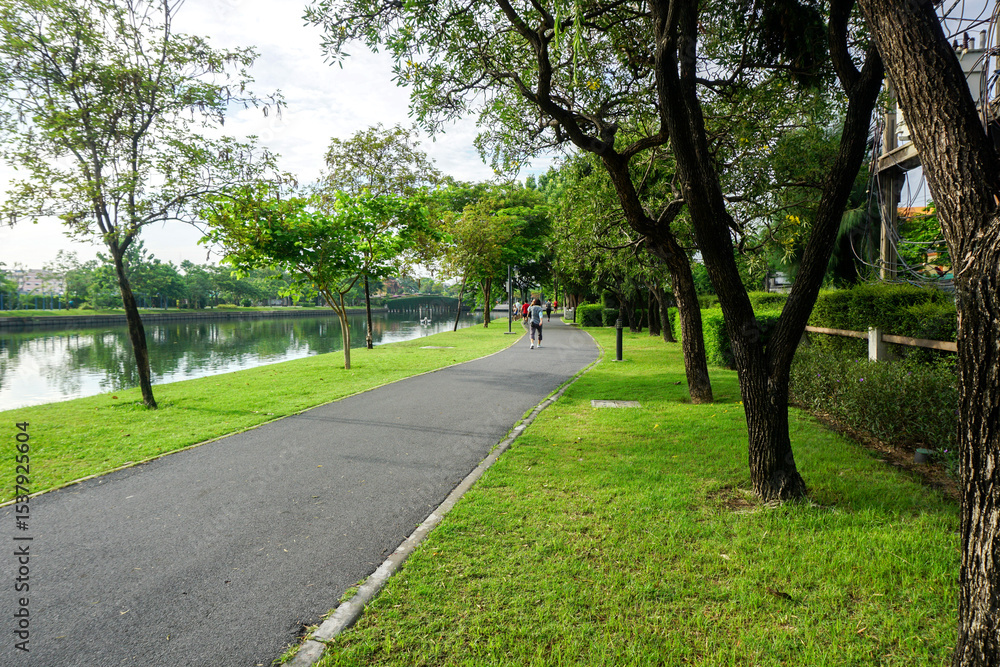 Fresh green lawns in the park. Blur nature bokeh green park trees in morning. Fresh green lawns in the park. Blur nature bokeh green park trees in morning.