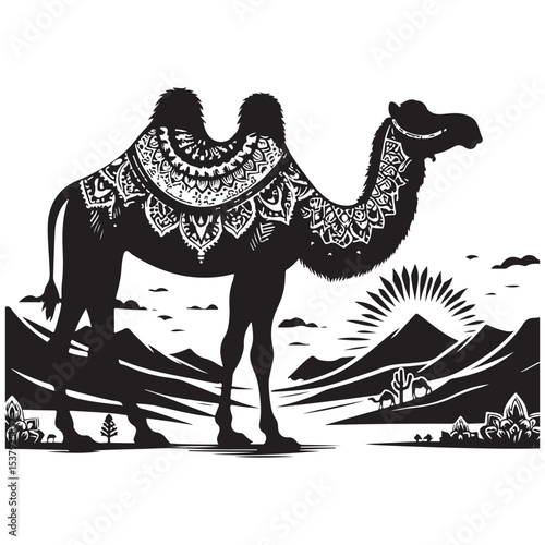 vector illustration of camels