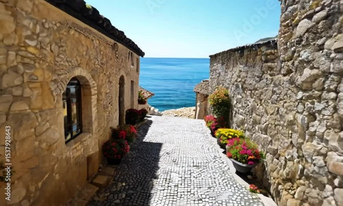 A narrow stone street with a view of the ocean. The street is lined with potted plants and flowers, and there are several potted plants on the sidewalk