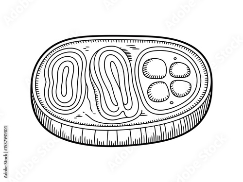 Vintage engraving style meat cut vector illustration