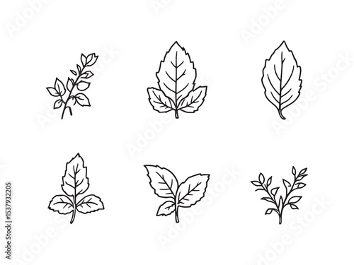 Mint leaves minimal line drawing
