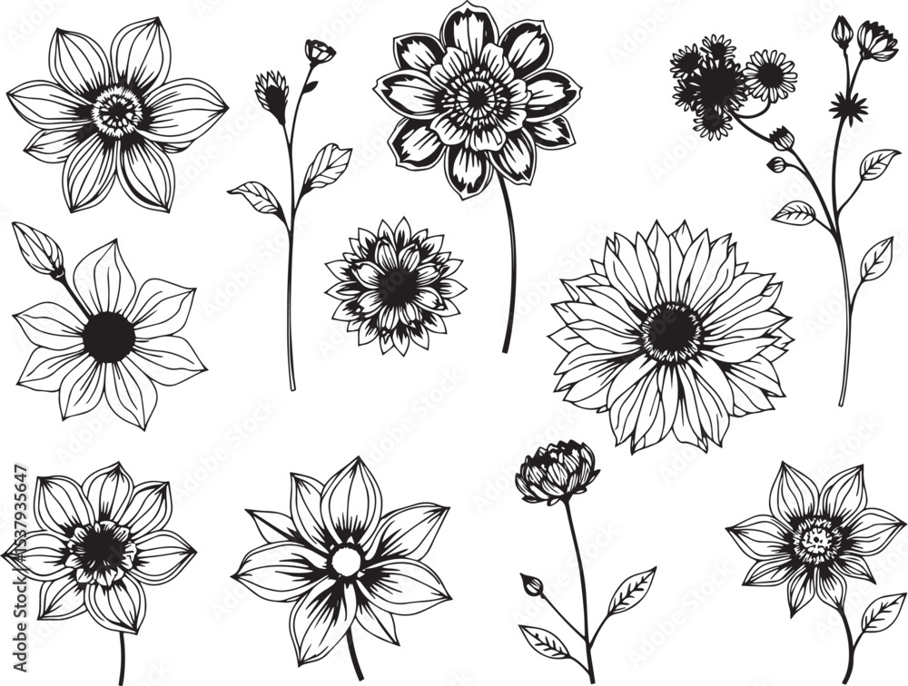Set of plants and flowers. Hand drawn vector illustration Set of plants and flowers. Hand drawn vector illustration