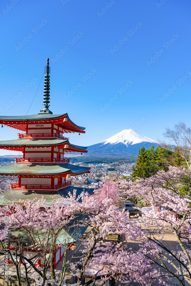 Fototapeta premium 山梨県富士吉田市 春の新倉山浅間公園